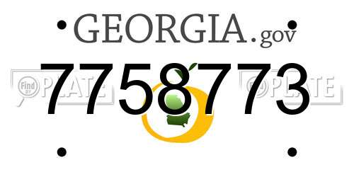 7758773 Georgia License Plate