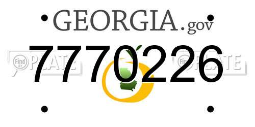 7770226 Georgia License Plate