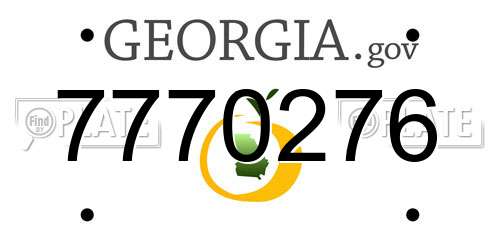 7770276 Georgia License Plate