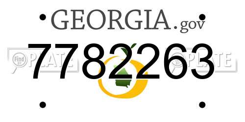 7782263 Georgia License Plate