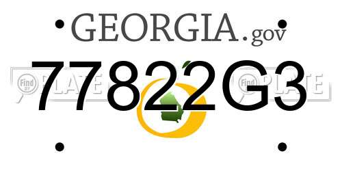 77822G3 Georgia License Plate