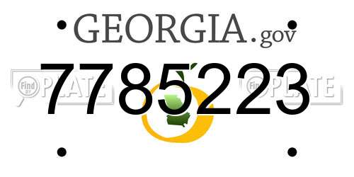 7785223 Georgia License Plate