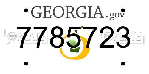 7785723 Georgia License Plate