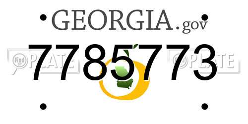 7785773 Georgia License Plate