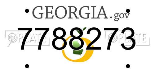 7788273 Georgia License Plate
