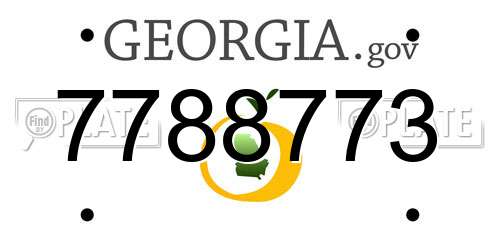 7788773 Georgia License Plate