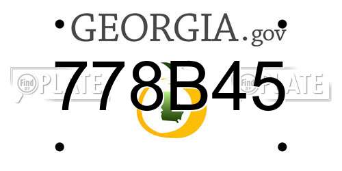 778B45 Georgia License Plate