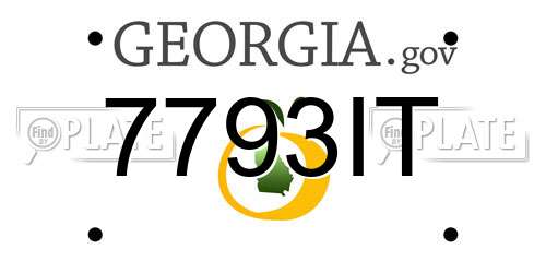 7793IT Georgia License Plate