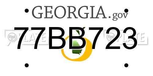 77BB723 Georgia License Plate