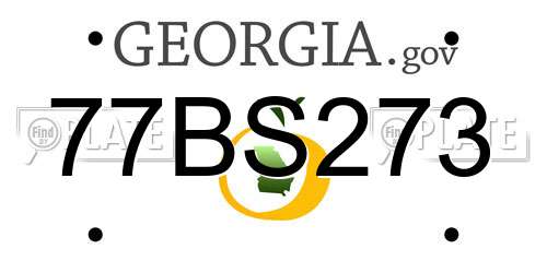 77BS273 Georgia License Plate