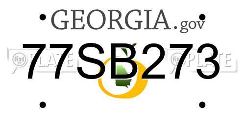 77SB273 Georgia License Plate