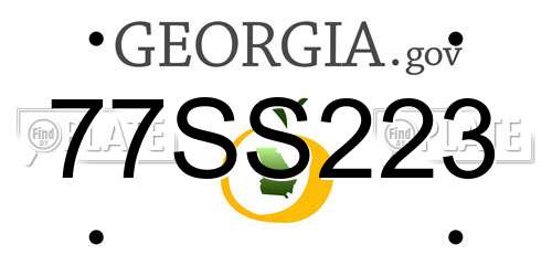 77SS223 Georgia License Plate
