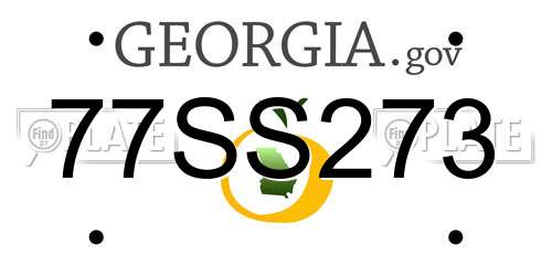 77SS273 Georgia License Plate