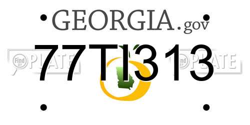 77TI313 Georgia License Plate