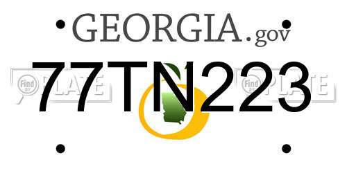 77TN223 Georgia License Plate