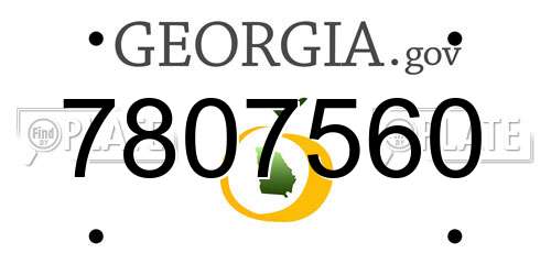 7807560 Georgia License Plate