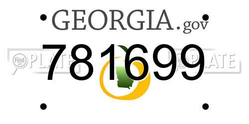 781699 Georgia License Plate