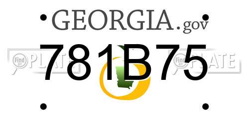 781B75 Georgia License Plate