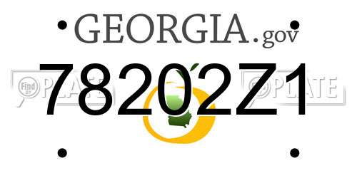 78202Z1 Georgia License Plate