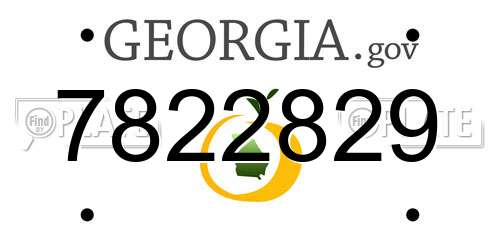 7822829 Georgia License Plate