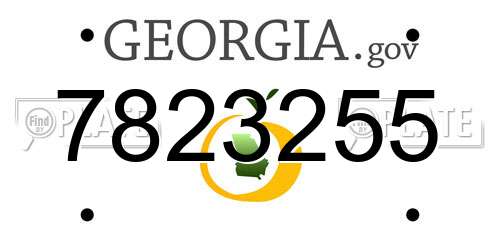7823255 Georgia License Plate