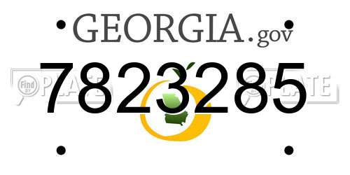 7823285 Georgia License Plate