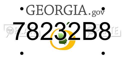 78232B8 Georgia License Plate