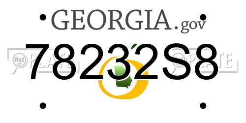 78232S8 Georgia License Plate