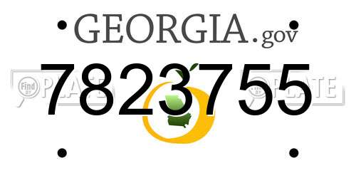 7823755 Georgia License Plate