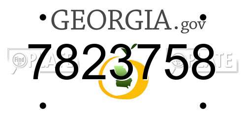 7823758 Georgia License Plate