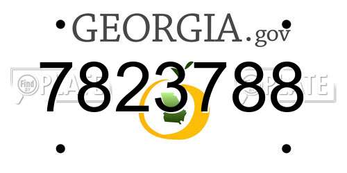 7823788 Georgia License Plate