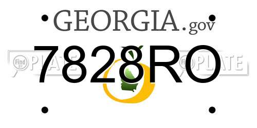 7828RO Georgia License Plate