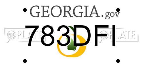 783DFI Georgia License Plate
