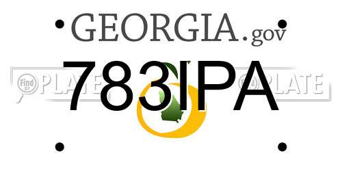 783IPA Georgia License Plate