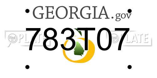 783T07 Georgia License Plate