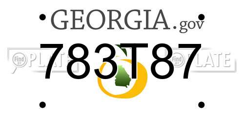 783T87 Georgia License Plate