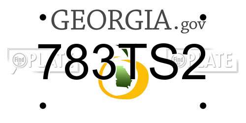783TS2 Georgia License Plate