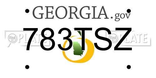 783TSZ Georgia License Plate