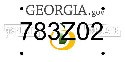 783Z02 Georgia License Plate
