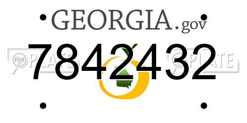 7842432 Georgia License Plate