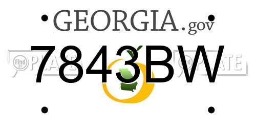 7843BW Georgia License Plate
