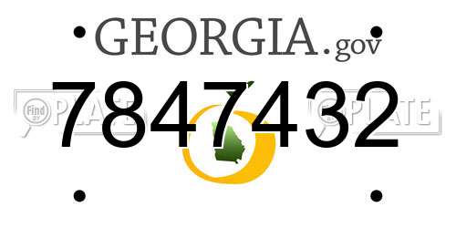 7847432 Georgia License Plate