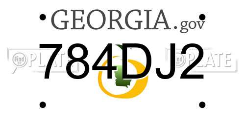784DJ2 Georgia License Plate