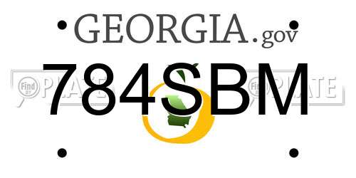 784SBM Georgia License Plate