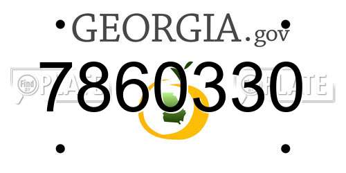 7860330 Georgia License Plate
