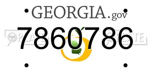 7860786 Georgia License Plate