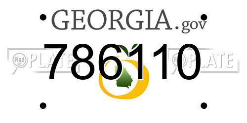 786110 Georgia License Plate