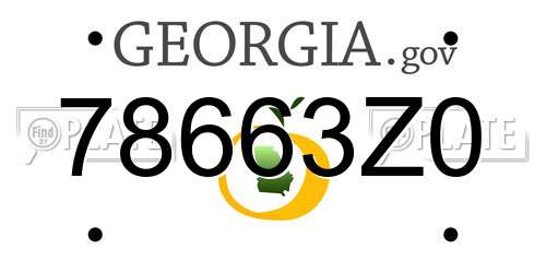 78663Z0 Georgia License Plate