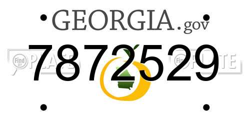 7872529 Georgia License Plate