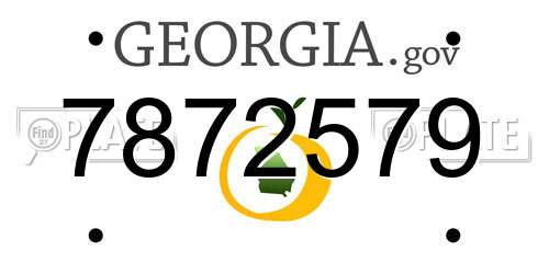7872579 Georgia License Plate